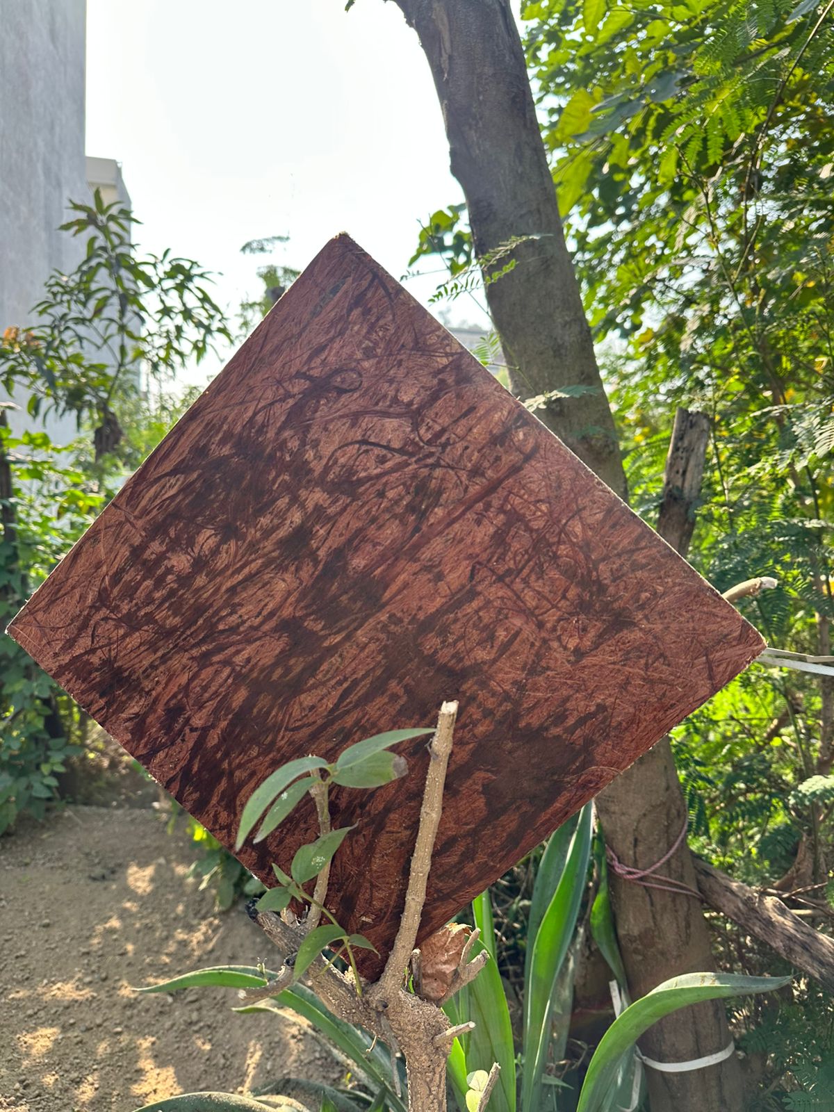 Premium board surface finish and color